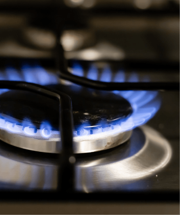 LPG Gas