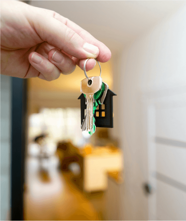 Property Rentals
